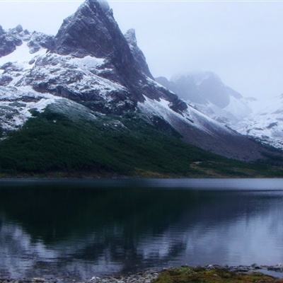 半岛官网入口网页版手机app下载截图