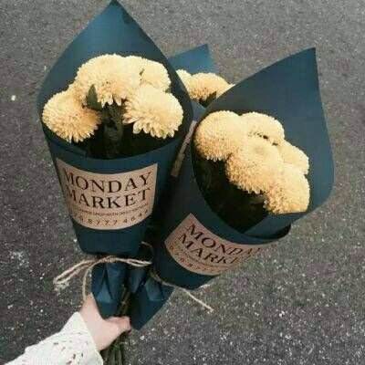 半岛官网入口网页版手机app下载