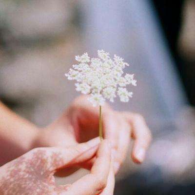 万博全站(Manbetx)截图