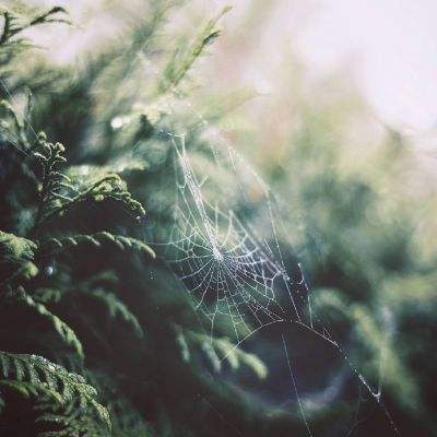 乐鱼app(中国体育)官方网站手机app下载截图